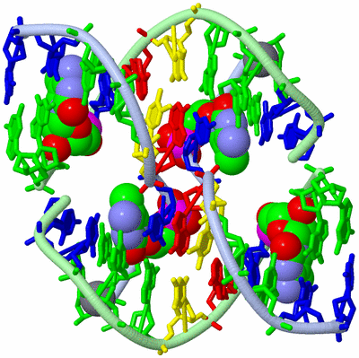 Image Biological Unit 1