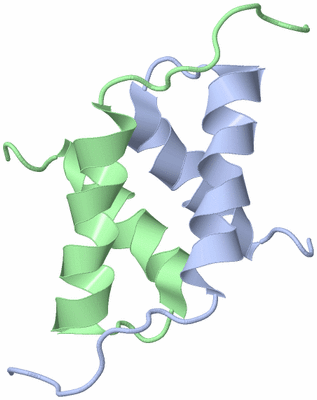 Image NMR Structure - model 1