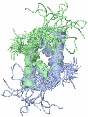 Image NMR Structure - all models