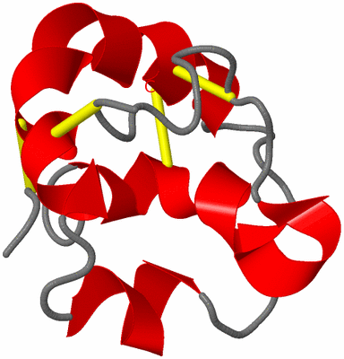 Image NMR Structure - model 1