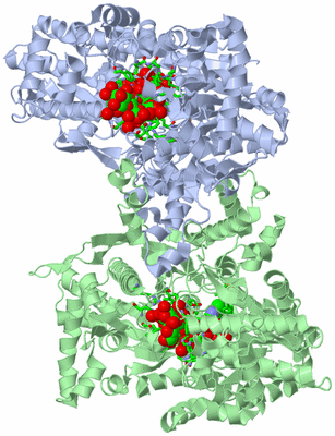 Image Asym./Biol. Unit - sites