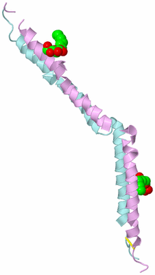 Image Biological Unit 3