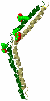 Image Biological Unit 9