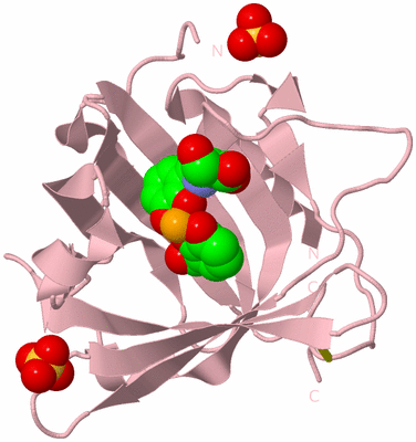 Image Biological Unit 3