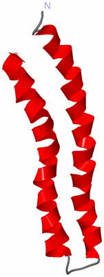 Image NMR Structure - model 1