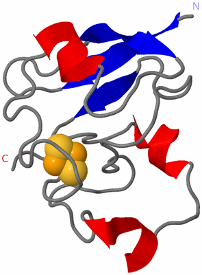 Image NMR Structure - model 1