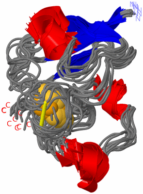 Image NMR Structure - all models