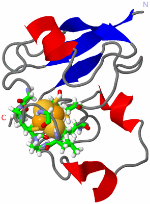 Image NMR Structure - model 1, sites