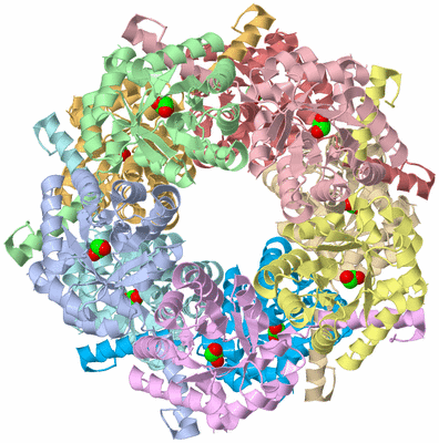 Image Asym./Biol. Unit