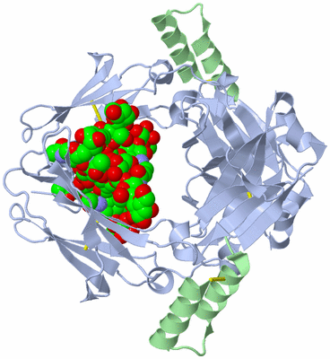 Image Biological Unit 2