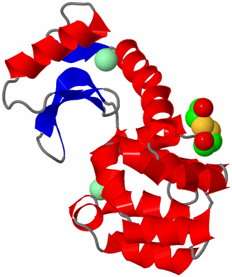 Image Asym./Biol. Unit