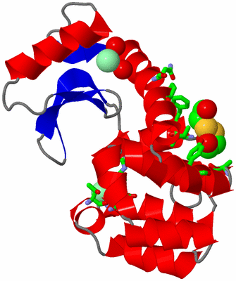 Image Asym./Biol. Unit - sites