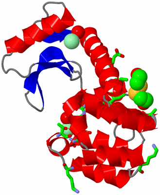 Image Asym./Biol. Unit - sites