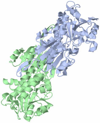 Image Biological Unit 1