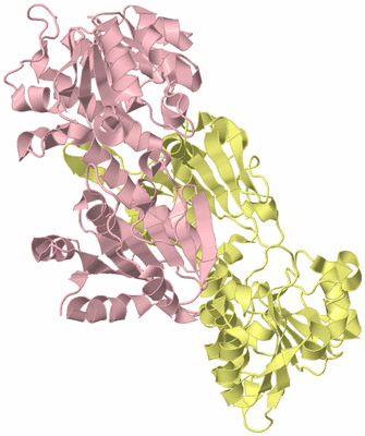 Image Biological Unit 2