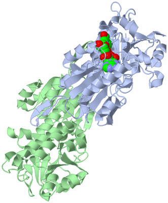 Image Biological Unit 1