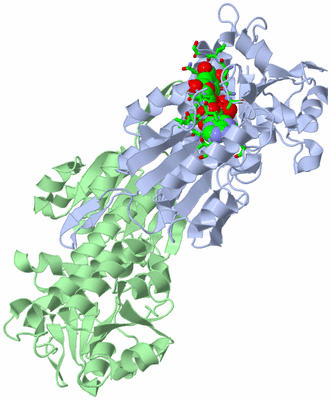 Image Biol. Unit 1 - sites