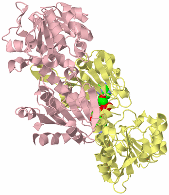 Image Biological Unit 2