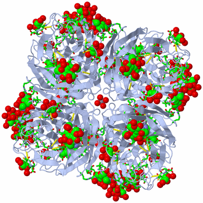 Image Biol. Unit 1 - sites