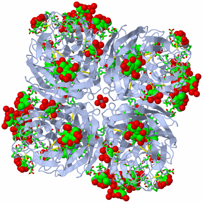 Image Biol. Unit 1 - sites