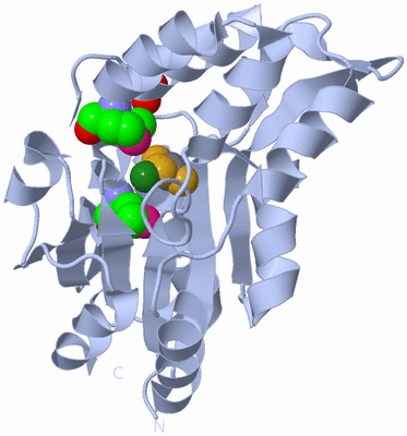 Image Biological Unit 1