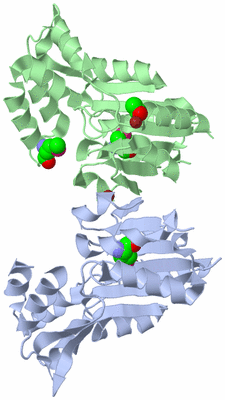 Image Biological Unit 3