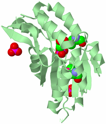 Image Biological Unit 2