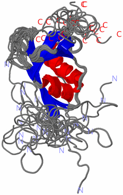 Image NMR Structure - all models