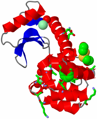Image Asym./Biol. Unit - sites