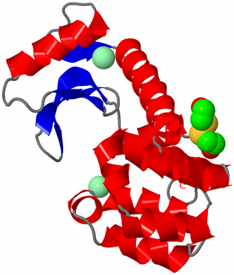 Image Asym./Biol. Unit