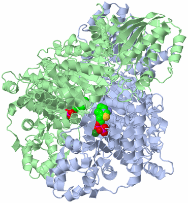 Image Asym./Biol. Unit