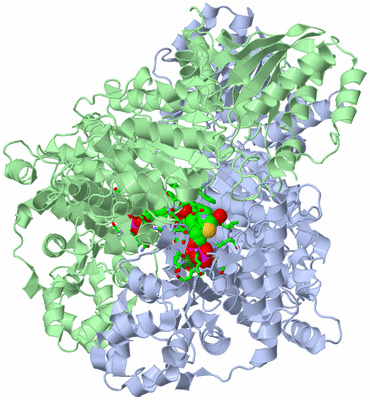 Image Asym./Biol. Unit - sites