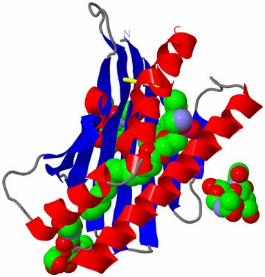 Image Asym./Biol. Unit