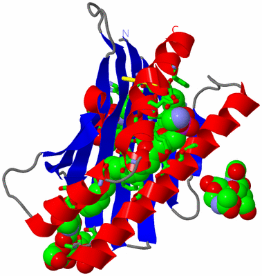 Image Asym./Biol. Unit - sites