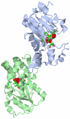 Image Asym./Biol. Unit - sites