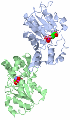 Image Asym./Biol. Unit