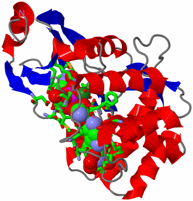 Image Asym./Biol. Unit - sites