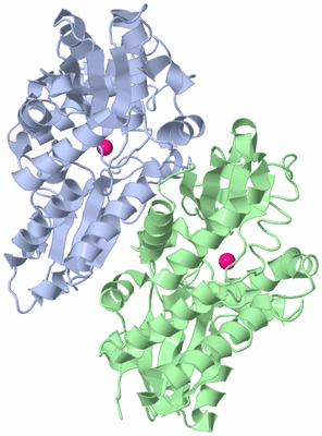 Image Asym./Biol. Unit