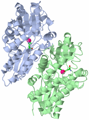 Image Asym./Biol. Unit - sites