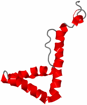 Image NMR Structure - model 1