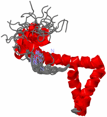 Image NMR Structure - all models