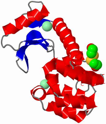 Image Asym./Biol. Unit