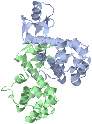 Image Asymmetric Unit