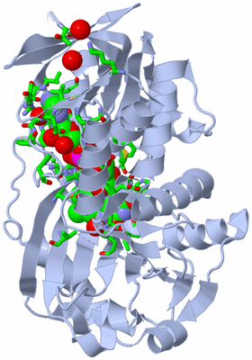 Image Biol. Unit 1 - sites