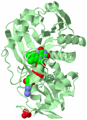 Image Biological Unit 2