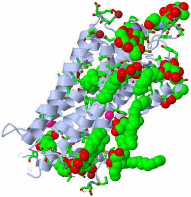 Image Biol. Unit 1 - sites