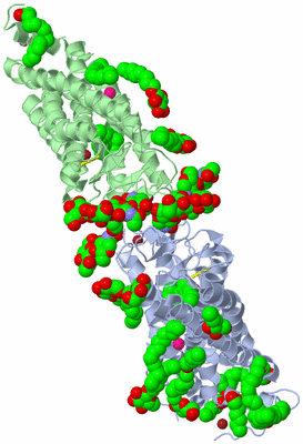 Image Biological Unit 3