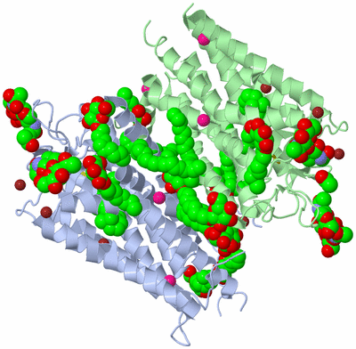 Image Biological Unit 4