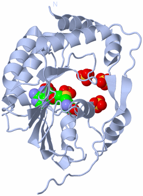 Image Biological Unit 1