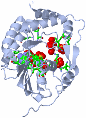 Image Biol. Unit 1 - sites